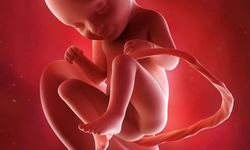 Yenidoğanları en çok tehdit eden virüslerden biri RSV! Uzmanlar gebelikte aşıyı işaret ediyor