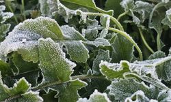 Bandırma’da dondurucu soğuk! Sıcaklık eksi 7 dereceye düştü