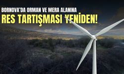 Bornova’da orman ve mera alanına RES tartışması yeniden!
