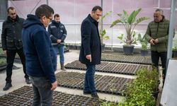 Bornova’da yeşil seferberlik başladı! Belediye 80 bine yakın bitkiyi kendi üretti