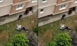 Panikle pencereden atlamışlardı! Genç çiftten haber geldi