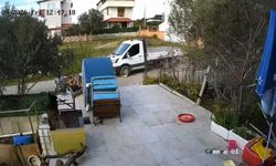 Can yakan görüntüler! İzmir Seferihisar'da bir sürücü köpeği kamyonetle ezdi