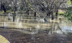 Ege’nin turizm cenneti yağmura teslim oldu: Kabristan sulara gömüldü!