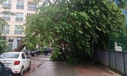 Denizli için fırtına alarmı: Kuvvetli rüzgar hayatı olumsuz etkileyebilir