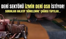 Egeli ihracatçılar sorunları anlattı: Deri sektörü İzmir Deri OSB istiyor!