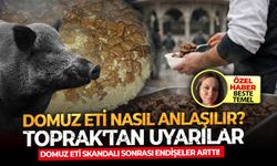 Domuz eti skandalı sonrası endişeler arttı! Domuz eti nasıl anlaşılır? Toprak'tan uyarılar