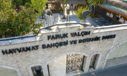 Darıca Hayvanat Bahçesi neden kapandı? Tekrar ne zaman açılacak mı?