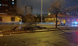 Feci kaza! Hafif ticari araç ağacı ikiye bölüp karşı şeride geçti!