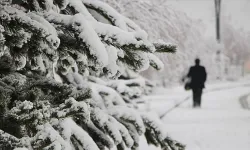 Fırtına, buzlanma ve çığ tehlikesine dikkat! Kar yağışı etkili olacak! 9 il için sarı kodlu uyarı!