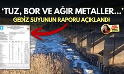 ‘Tuz, bor ve ağır metaller!’ Gediz suyunun raporu açıklandı