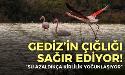 Gediz’in çığlığı sağır ediyor! Akademisyenden uyarı geldi: Su azaldıkça kirlilik yoğunlaşıyor