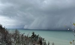 Görenleri hayrete düşüren görüntü! Gizemli olayın sırrı çözüldü