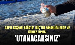 CHP İl Başkanı Çağatay Güç’ten bakanlığa Gediz ve Körfez tepkisi: Utanacaksınız!