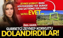 Türkiye'de yatırım yapmak isteyen gurbetçi Zeynep Korkut'a sattıkları arsa, kuş uçmaz, kervan geçmez sarp dağ çıktı!