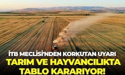 İTB Meclisi'nden korkutan uyarı: Tarım ve hayvancılıkta tablo kararıyor!