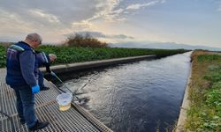 İzmir, Manisa, Uşak, Kütahya hattında çevre operasyonu! Gediz’de suçüstü