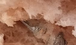 İzmir'de fırından aldıkları ekmeği bölünce içinden çıkan şeye inanamadılar!