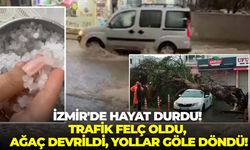 İzmir'de hayat durdu! Trafik felç oldu, ağaç devrildi, yollar göle döndü!