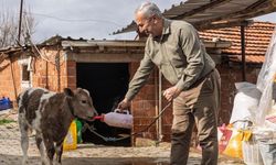 İzmir'de ücretsiz olarak dağıtıldı! 3 bin 500 kişiye ulaştırıldı