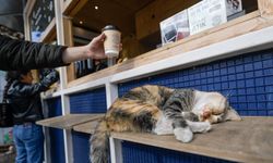 İzmirli Kahve’den bir milyon bardak: Uygun fiyatlı kahveye yoğun ilgi!