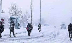 Ardahan'da yarın okullar tatil mi? 13 Şubat 2026 Cuma kar tatili son dakika