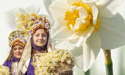 Karaburun Nergis Festivali ne zaman? Festival nerede düzenlececek?