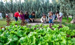 Karşıyaka’da çevre odaklı eğitim! Anaokulu “yeşil bayrak” hedefine ilerledi