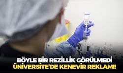 Üniversite kürsüsünde kenevir güzellemesi mi? Prof. Dr. Veysi Ceri: Üniversite bunu yaparsa, torbacılar ne yapmaz?