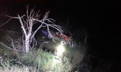 İzmir Kiraz'da traktörü mezarı oldu!