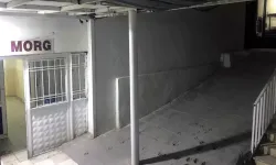 Küçük çocukların yardım çığlığı gerçeği ortaya çıkardı!