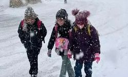 Kastamonu yarın okullar tatil mi, 14 Ocak kar tatili var mı?