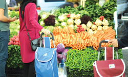 Seferihisar’da kuradan bu kez tezgah çıkacak!