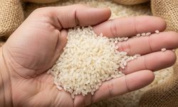 Pirinci kavurmadan pişirenler bu tadı bilmiyor: Tencereye eklenen tek dokunuş fark yaratıyor