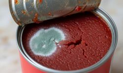 Salça israfına son veren yöntem: Bir kaşıkla yapılan basit hamle