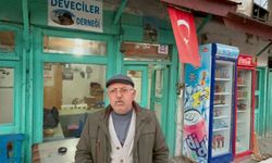 Şap hastalığı deve güreşlerini durdurdu