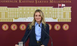 CHP’li Ösen'den dış kredi isyanı: "Engellenen projeler hizmet diye sunuluyor!"