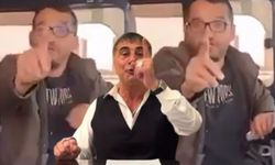 Şehit ailesini otobüse almayan şoföre saldırı! Sedat Peker detayı dikkat çekti