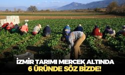İzmir tarımının röntgenini çektiler! Hıyarlık turşu, incir, ıspanak, mandalina ve salçalık domates bizden sorulur