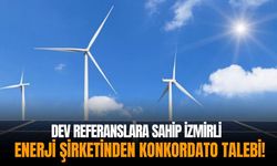 Dev referanslara sahip İzmirli enerji şirketinden konkordato talebi!