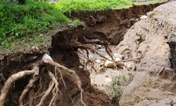Aydın’da dere taştı, zeytinlikler zarar gördü! İkinci dere yatağı oluştu