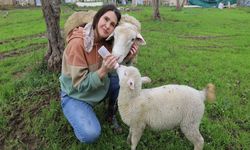 Hastane nöbetinden ahıra: Bir hemşirenin çifte mesaisi