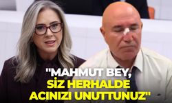 AK Partili Çankırı'dan CHP'li Tanal'a: "Mahmut Bey, siz herhalde acınızı unuttunuz"