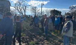 Aliağa’da zeytin üreticilerine bilimsel budama eğitimi!