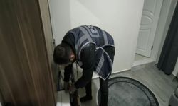 Aydın merkezli vize dolandırıcılığı operasyonu: 6 ilde 12 tutuklama