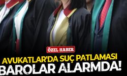 Avukatlarda suç patlaması! Alarma geçen Baro disiplin kurulları dosya yetiştiremez hale geldi