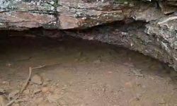 35 yıllık kuraklık sona erdi: İzmir'de kuruyan dere yeniden akmaya başladı!