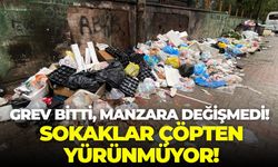 Buca'da grev bitti, manzara değişmedi! Çöpler yine doldu taştı!