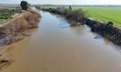 Büyük Menderes taştı, tarım arazileri su altında