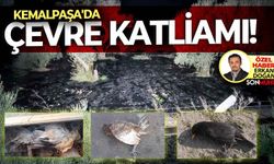 Kemalpaşa'da çevre katliamı! Köylüler yetkililerden yardım istedi