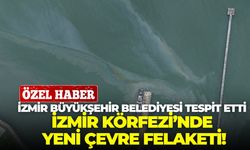 İzmir Körfezi’nde yeni çevre felaketi !